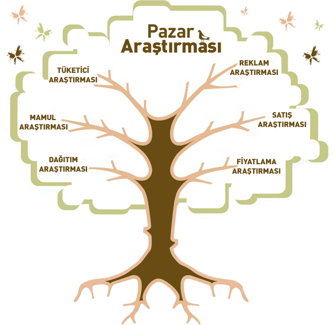 Pazar Araştırması